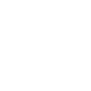 tiktok icon