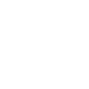 twitter icon